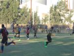 DSC0409288