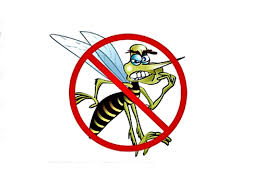 dengue