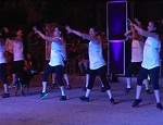 Lavc54.41.1