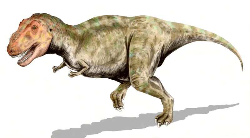 tiranosaurio