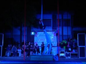 Lavc54.41.1
