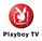 playboy