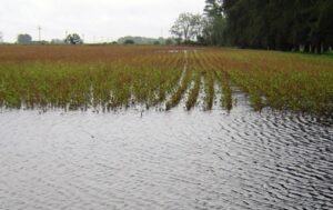 PROPONEN CREAR UN SISTEMA PARA MONITOREAR LAS NAPAS Y ANTICIPAR INUNDACIONES