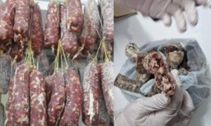 ALERTA POR TRIQUINOSIS EN EL NOROESTE BONAERENSE