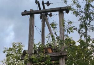 DOS MENORES FUERON IMPUTADOS TRAS RECIBIR UNO DE ELLOS UNA DESCARGA ELÉCTRICA EN CORONEL MOM